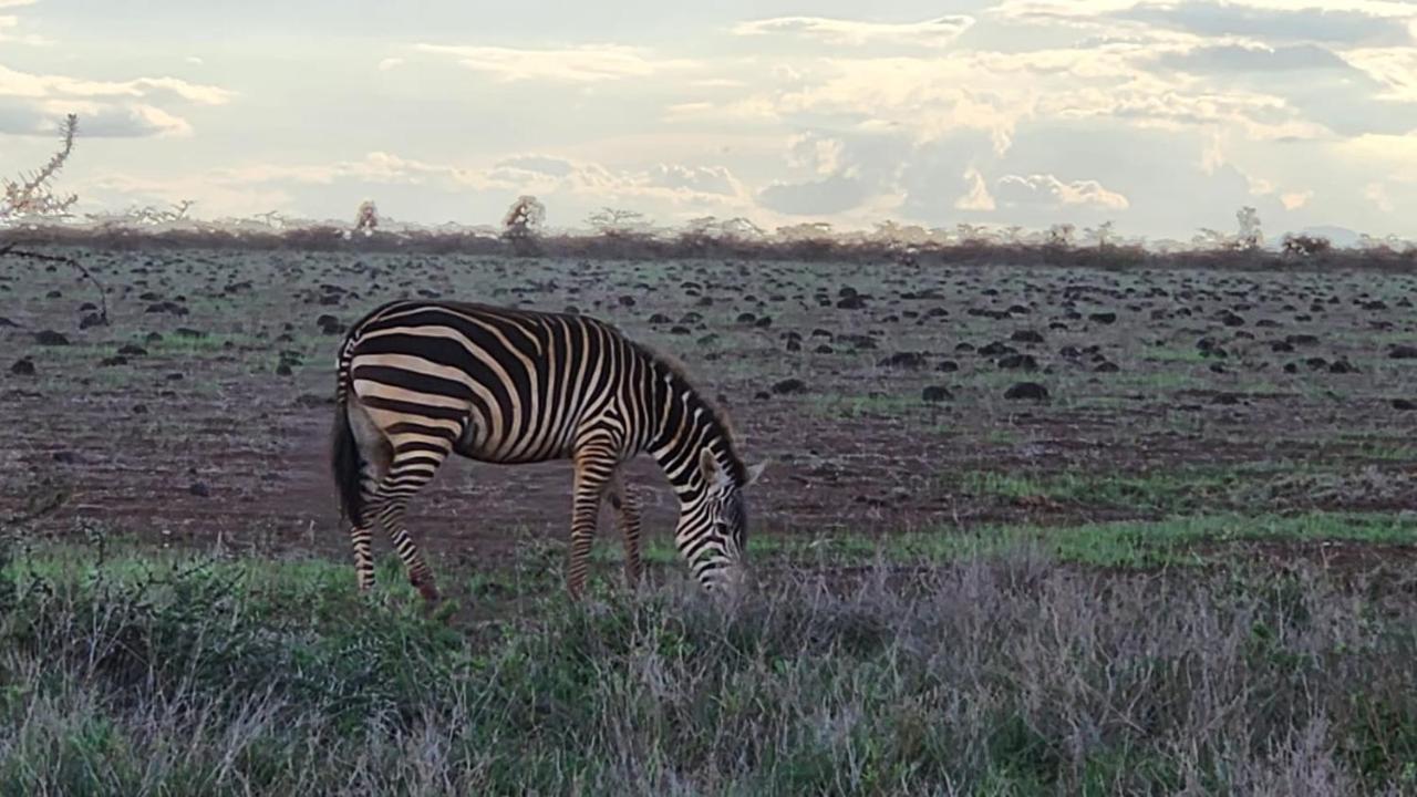 Little Amanya Camp Hotel Amboseli Luaran gambar